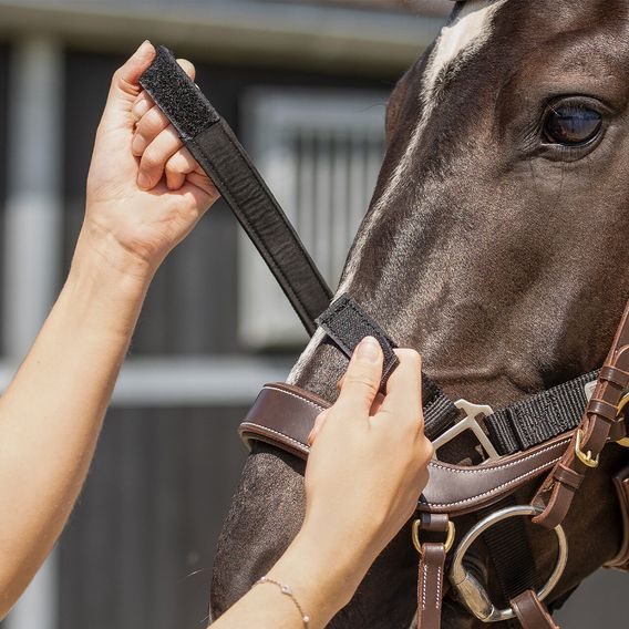 Ohlávka QHP Tack Up