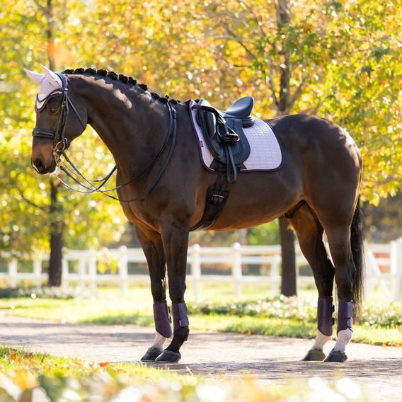 Podsedlová dečka LeMieux Suede Square Lilac Kolekce 2025/26