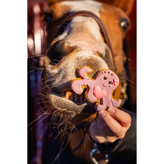 Pamlsky Candy Horse Cookies Valentine's day 30-40g