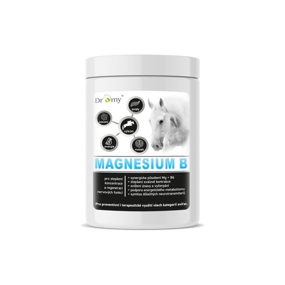 Dromy Magnesium B 1kg - 100 denních dávek