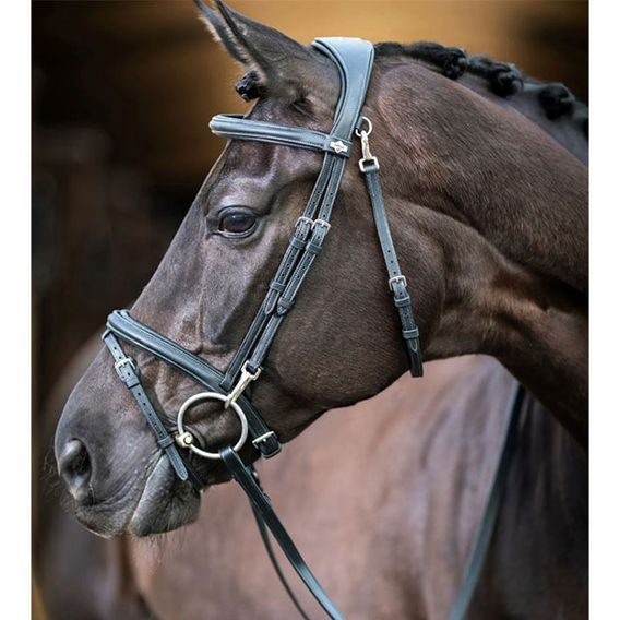 Uzdečka LeMieux Work a.k.n.