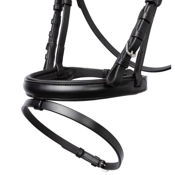 Uzdečka Horze Rainbow Dash angl. komb. nánosník