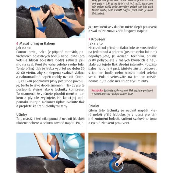 Publ Kleven Biomechanika a fyzioterapie pro koně