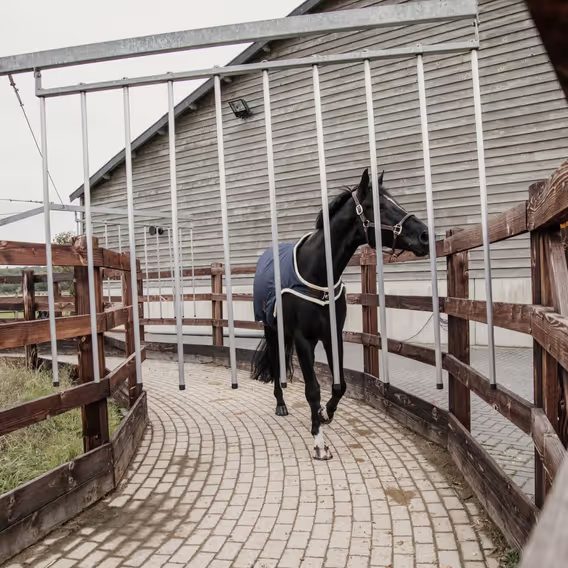 Deka Kentucky Walker Waterproof