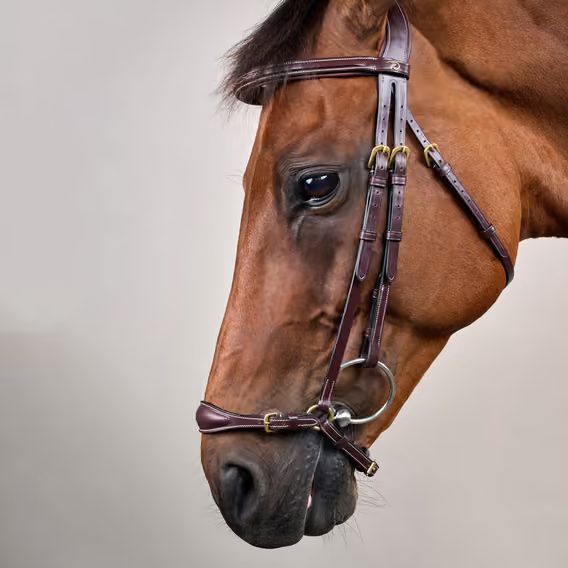 Uzdečka Dy'on Adjustable Drop Noseband DYAAAE