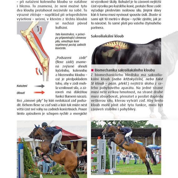 Publ Kleven Biomechanika a fyzioterapie pro koně