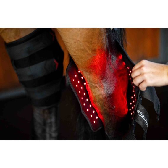 Chránič hlezenní Horseware® LED Red Light Therapy