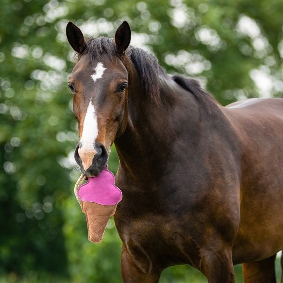 Hračka pro koně QHP Snackcounter