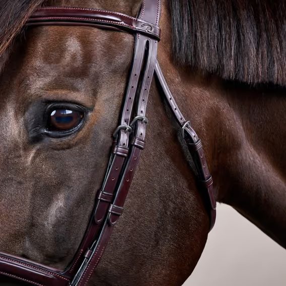Uzdečka Dy'on Flash Noseband Bridle NEAAAA