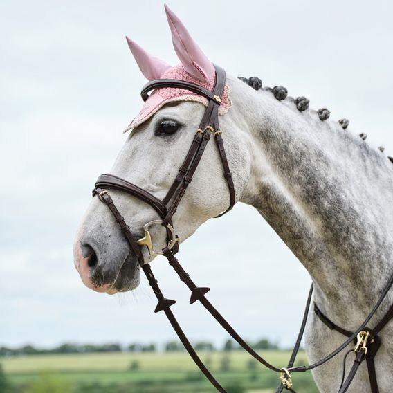 Čabraka na uši LeMieux Classic Blossom Kolekce 2025