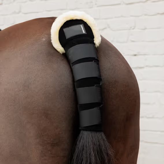 Transportní ochrana ocasu Kentucky s beránkem