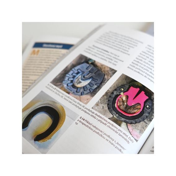 Publ Podkování moderního koně Kraus&Navarra