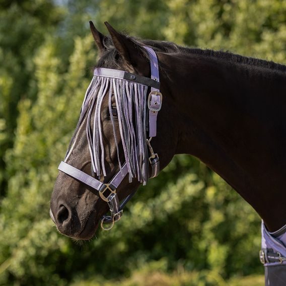 Třásně na oči QHP Kolekce 2026