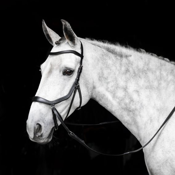Uzdečka Horseware Micklem Bitless