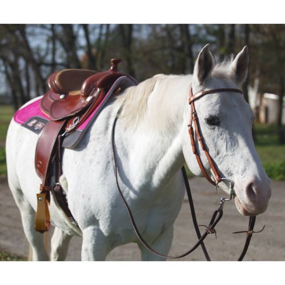 *W* Westernové sedlo Allround Westwood USA 16" FQH hnědé