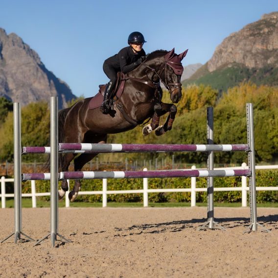 Podsedlová dečka LeMieux Essence Kolekce 2025/26