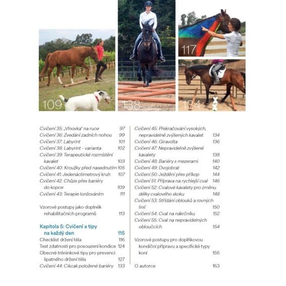 Publ Ballou Korektivní cvičení pro koně