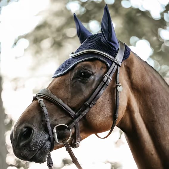 Čabraka na uši Kentucky Wellington Leather