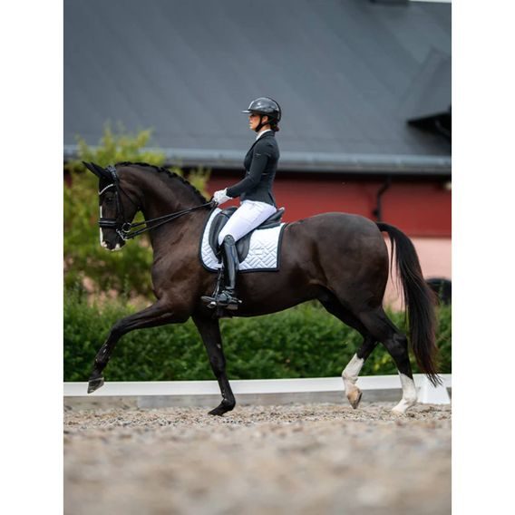 Čabraka na uši Equestrian Stockholm Soundless Clean
