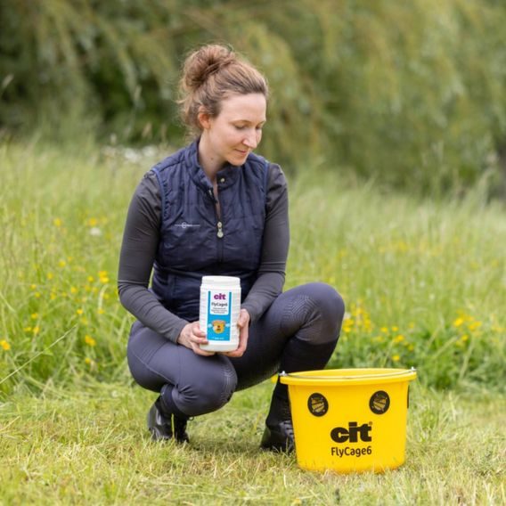 Lapač hmyzu včetně návnady Kerbl Cit Flycage 6