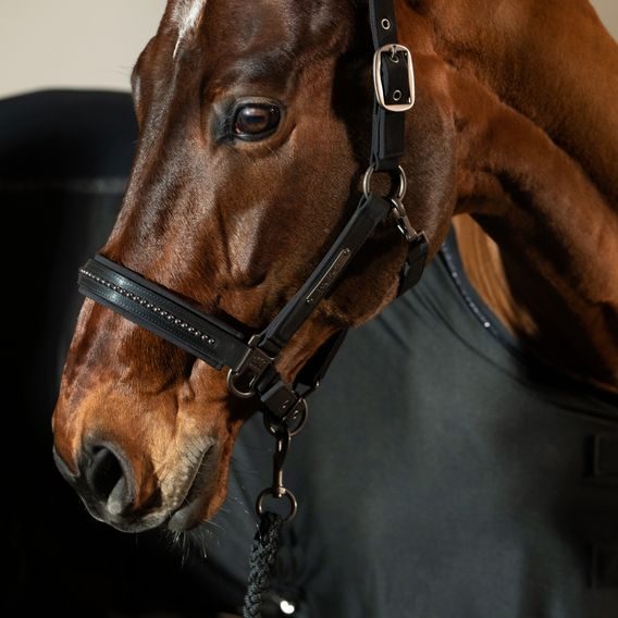 Ohlávka Eskadron Platinum Softshell Pearls Double Pin Kolekce 2025