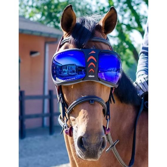 Ochrana očí Equick eVysor