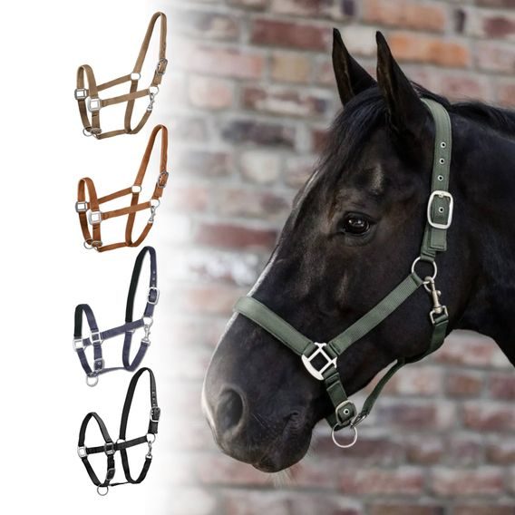 Ohlávka nylon podložená W Satin