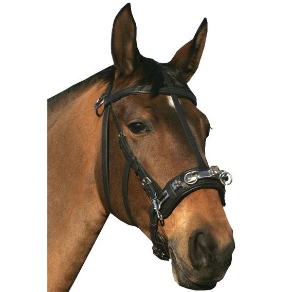 Lonžovací obnosek Equiservis nerez kožený DOPRODEJ