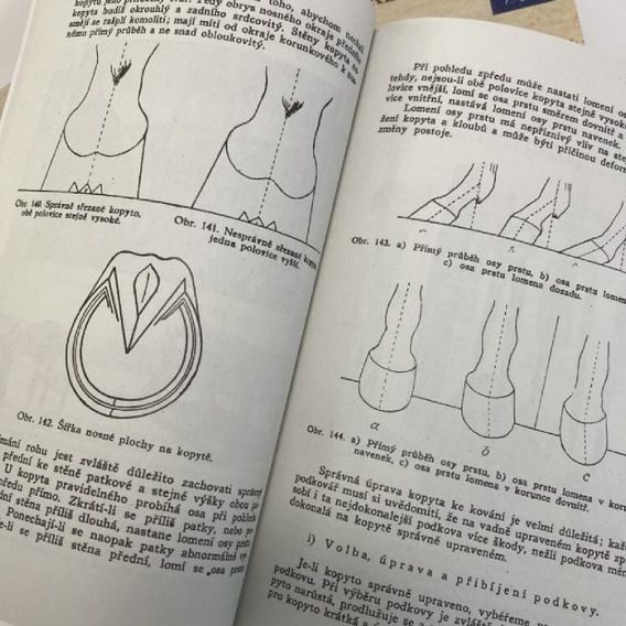 Publ Lechner Kompletní dílo DOPRODEJ