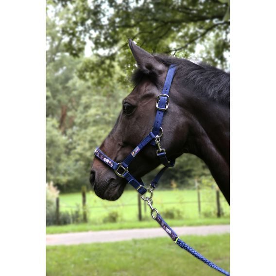 Ohlávka Equest Pummel Live Love Ride Kolekce 2024/25