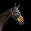 Terapeutická maska Back On Track Spirit