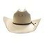 *W* Westernové boty Ariat Round Up Back Zip dámské Kolekce 2025