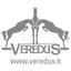 Veredus