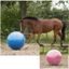 Míč na hraní QHP horse football 80-100 cm