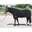 Deka odpocovací Harry's Horse Roll-Up Neck