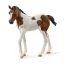 Schleich 14899 - Zvířátko - Hříbě paint horse