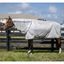 Deka síťovaná Horseware Amigo Bug Rug Plus