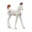 Schleich 14896 - Hříbě marwari