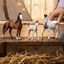 Schleich 13889 Hřebec Knabstrupského koně