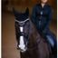 Čabraka na uši Equestrian Stockholm Mahogany Glimmer Kolekce