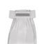 Plastron ANKY Luminous