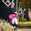 Bederní deka Hobby horse QHP DOPRODEJ