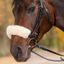 Dy'on Blinkers AB99K