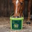 Leros sirup Pulmoran Horse