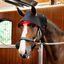 Chránič týlu Horseware® LED Red Light Therapy