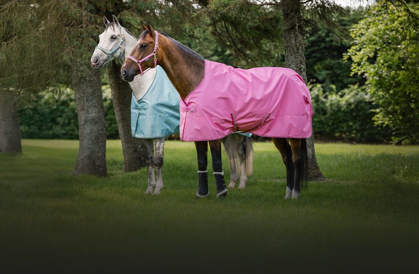 modrý banner s černo-žlutým okrajem