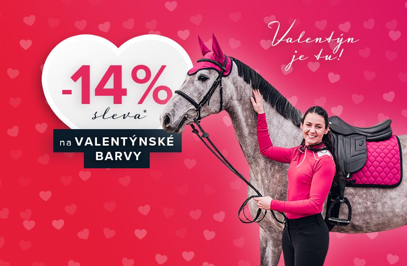 Dívka v jezdeckém outfitu stojící vedle nasedlaného koně.