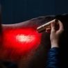 Svítilna set Horseware® LED Red Light Therapy Wand