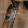 Uzdečka Dy'on Training Bridle WOXXII