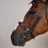 Uzdečka Dy'on Cavesson Hunter Noseband USKOAK